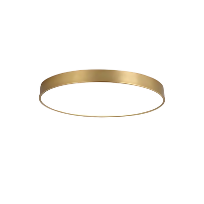 Lámpara colgante LED anillo