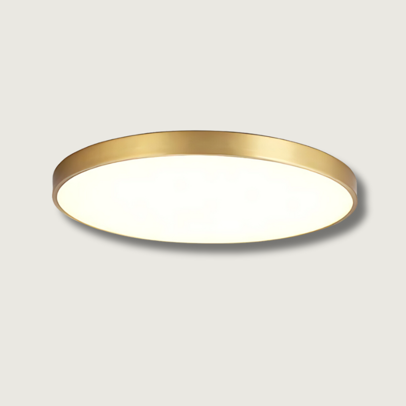 Lámpara colgante LED anillo